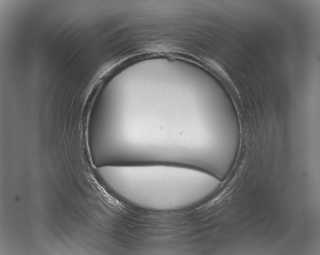 X0000052630831200507011031
