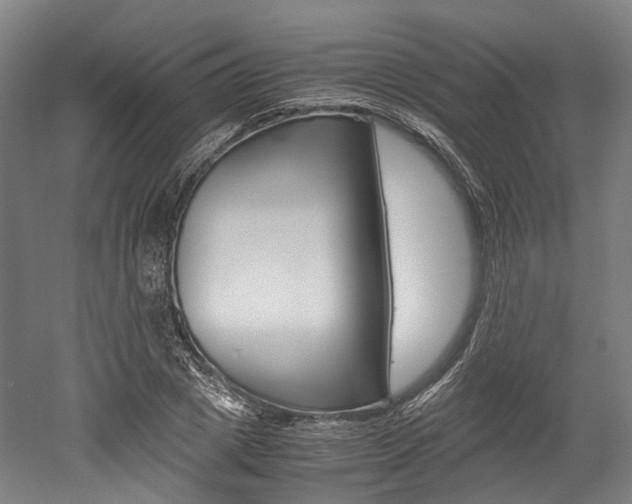 X0000052630833200507011031