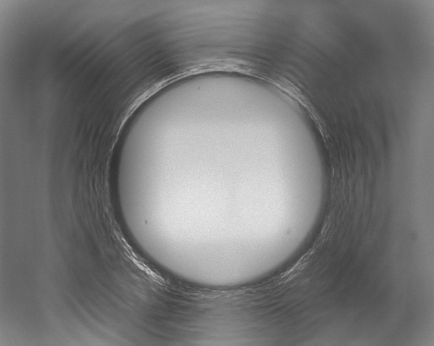 X0000052630834200507011031