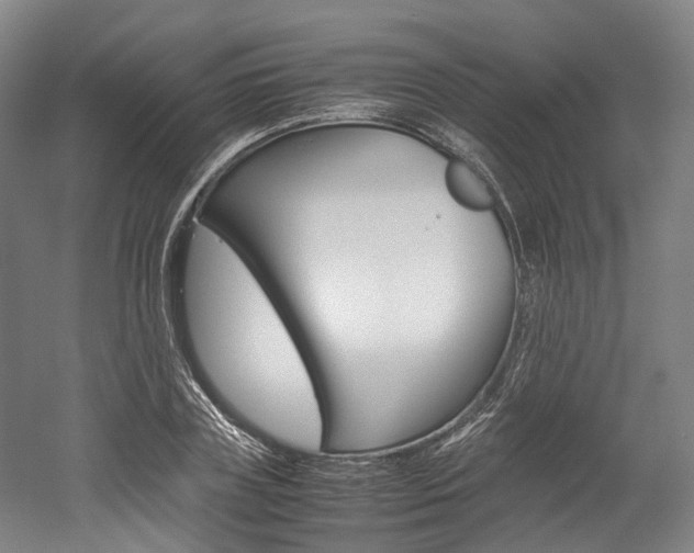 X0000052630835200507011031
