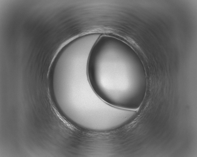 X0000052630838200507011031