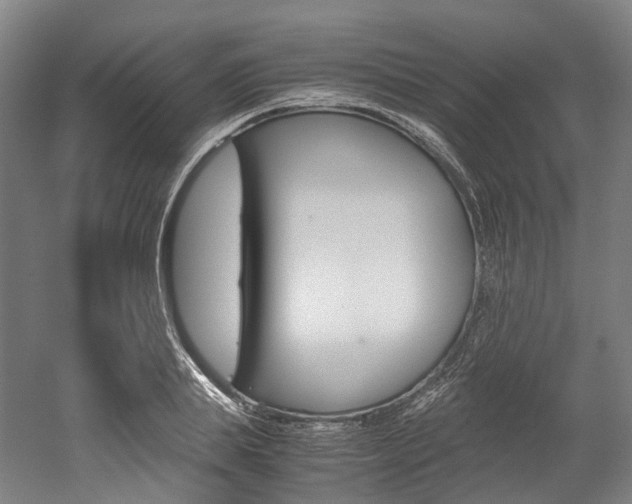 X0000052630839200507011031