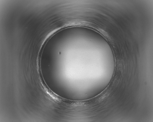 X0000052630846200507011031