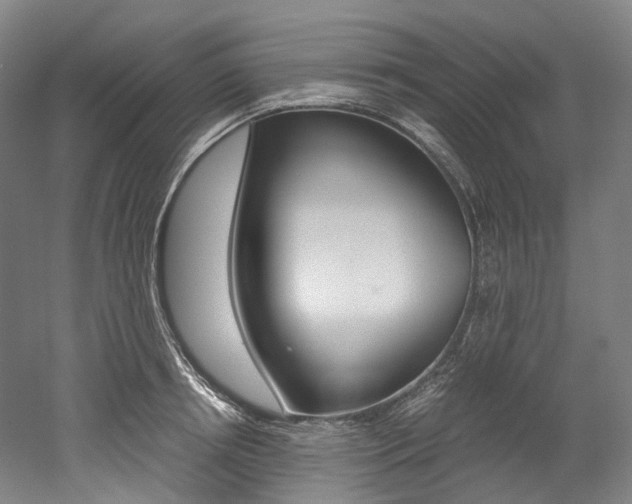 X0000052630850200507011032