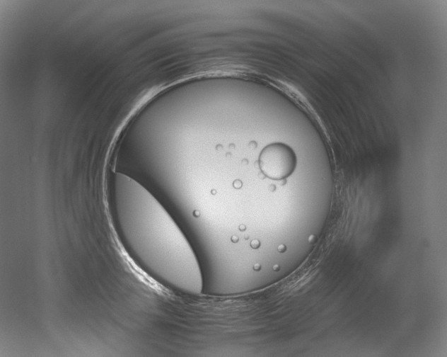 X0000052630851200507011032