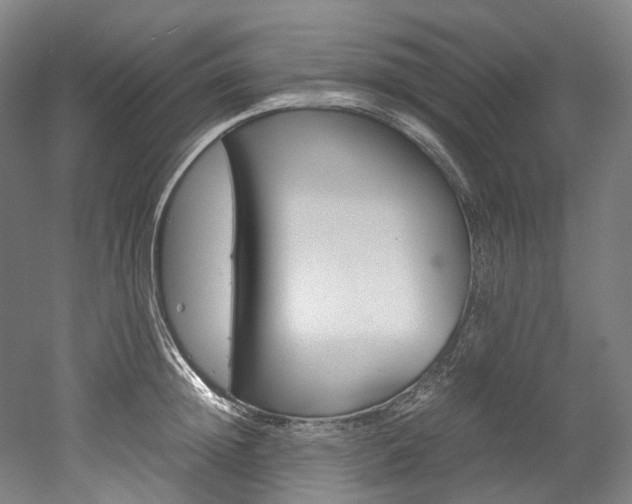 X0000052630852200507011032
