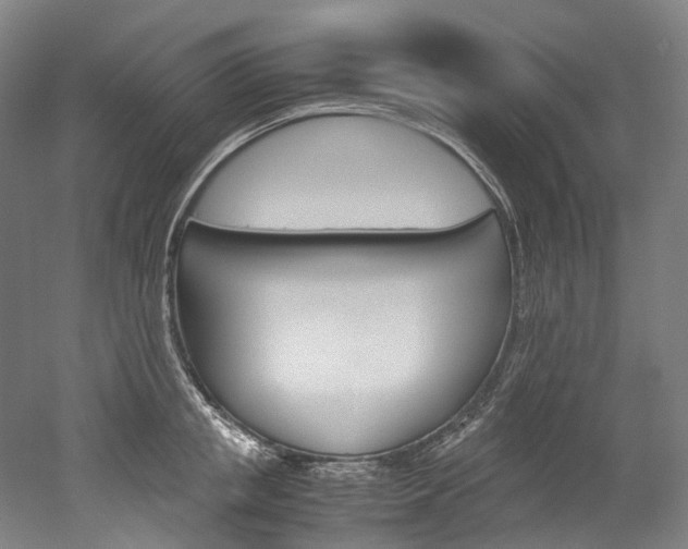 X0000052630853200507011032