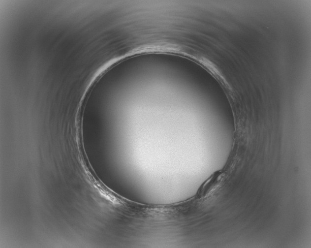 X0000052630854200507011032