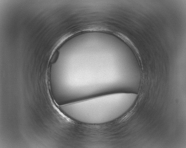 X0000052630855200507011032