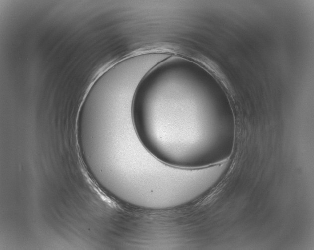 X0000052630858200507011032
