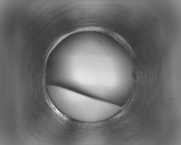 X0000052630860200507011032