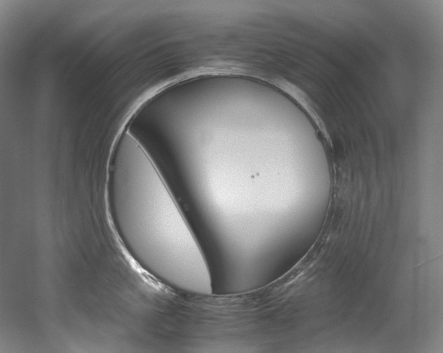 X0000052630861200507011032