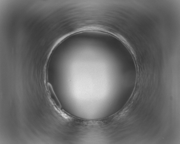 X0000052630862200507011032