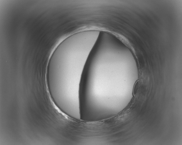 X0000052630863200507011032