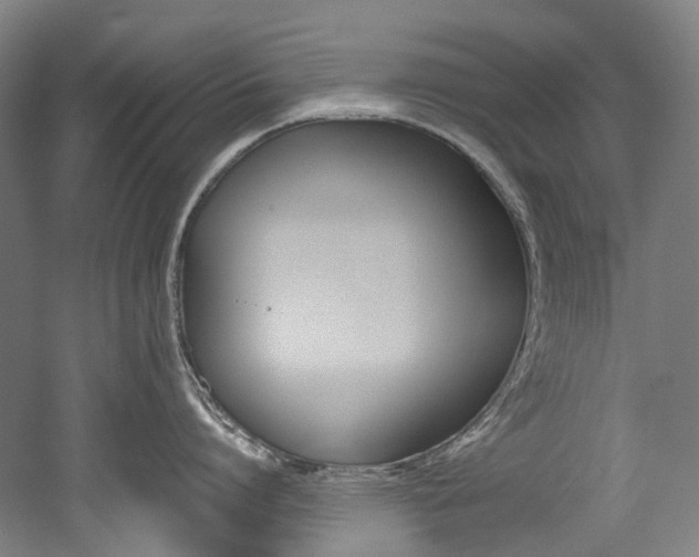 X0000052630864200507011032
