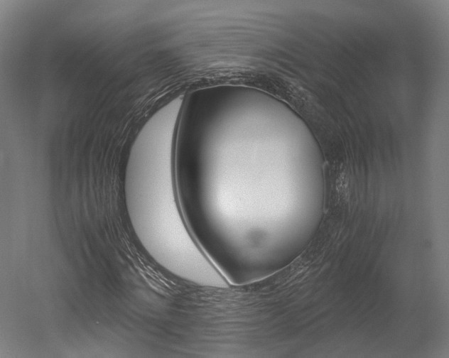 X0000052630868200507011031