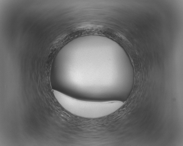 X0000052630869200507011031