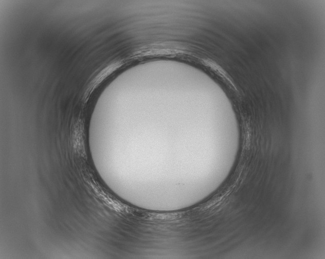 X0000052630874200507011031