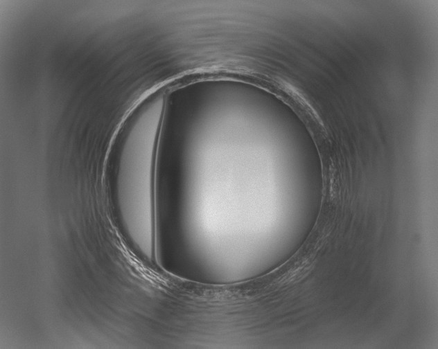 X0000052630876200507011031