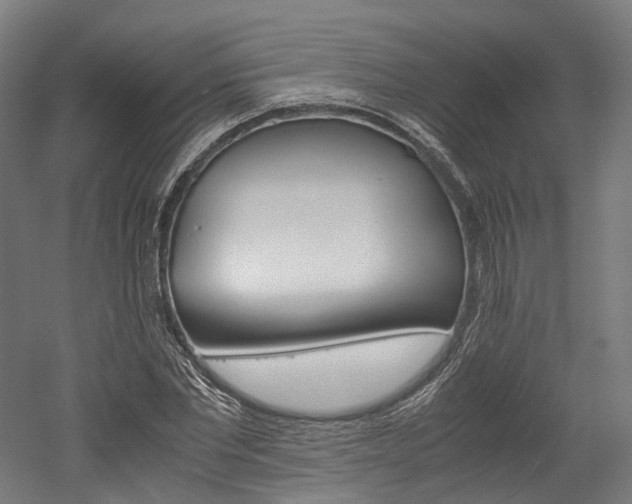 X0000052630877200507011031