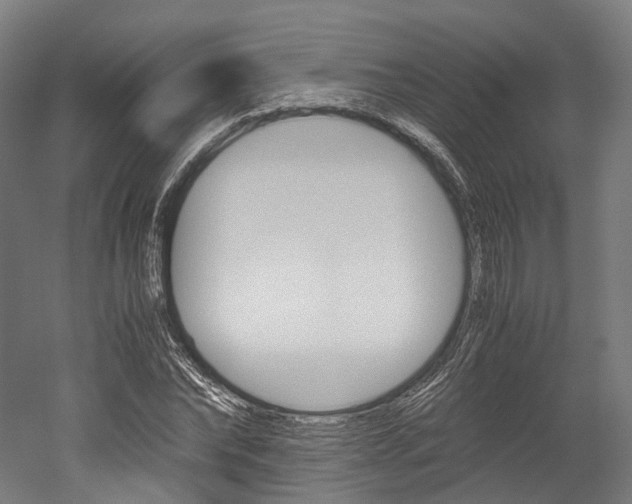 X0000052630878200507011031