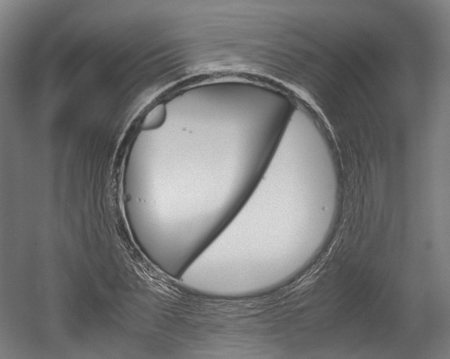 X0000052630879200507011031