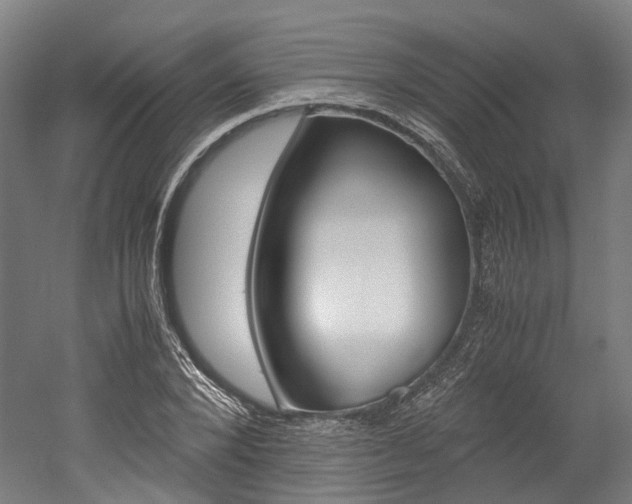X0000052630880200507011031