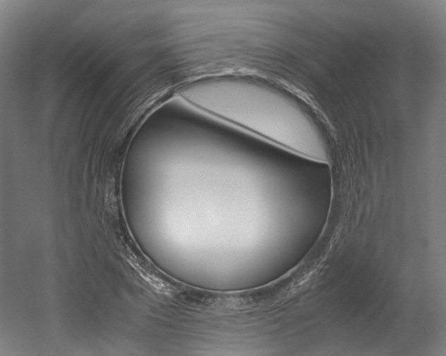 X0000052630881200507011031