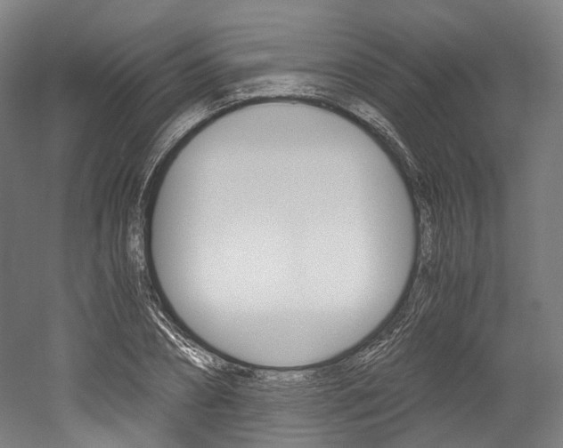 X0000052630882200507011031