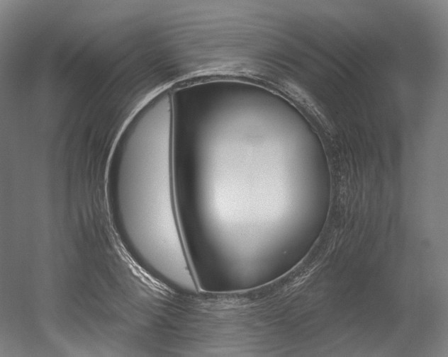 X0000052630884200507011031