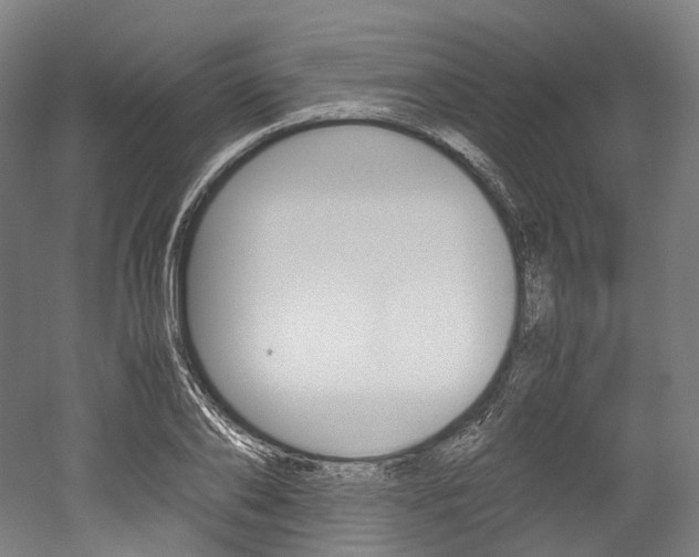 X0000052630886200507011031
