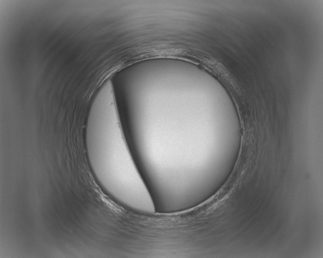 X0000052630889200507011031