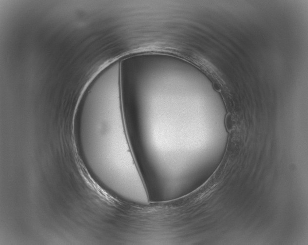 X0000052630892200507011031