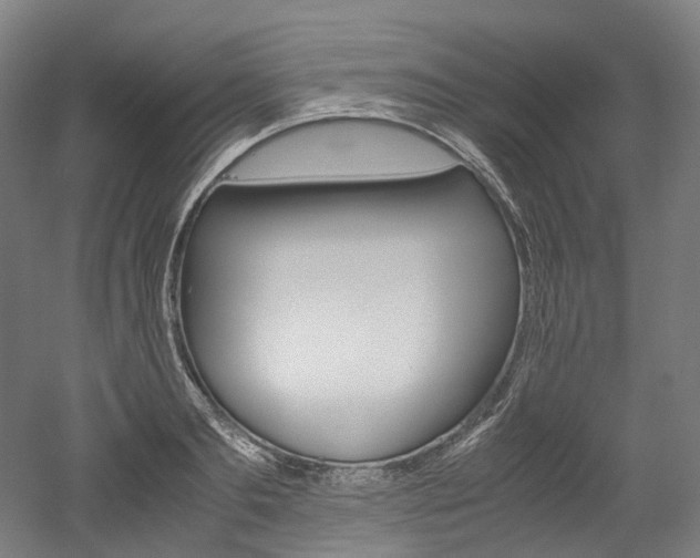 X0000052630893200507011030
