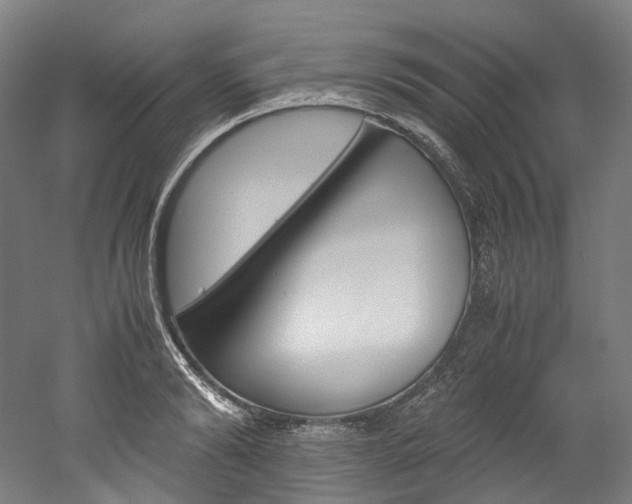 X0000052630894200507011030