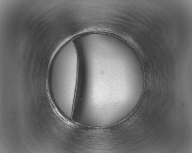 X0000052630896200507011030