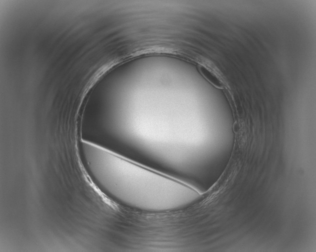 X0000052630898200507011030