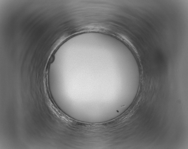 X0000052630899200507011030