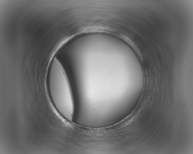 X0000052630901200507011030