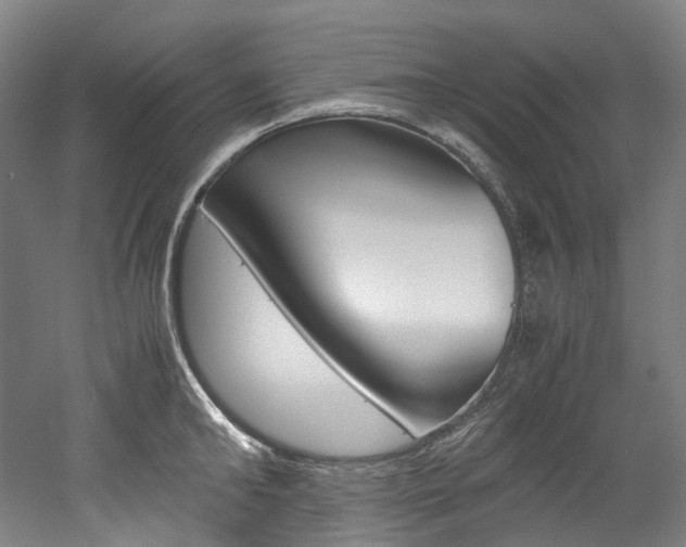 X0000052630902200507011030