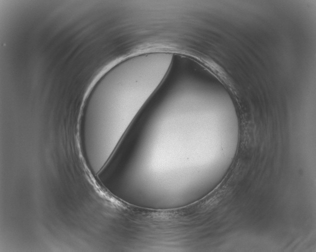 X0000052630904200507011030