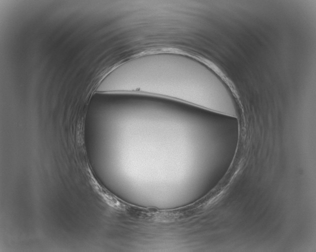 X0000052630905200507011030
