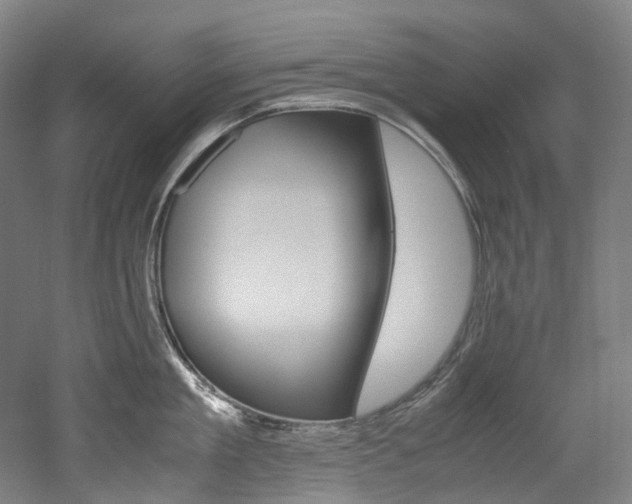 X0000052630909200507011030