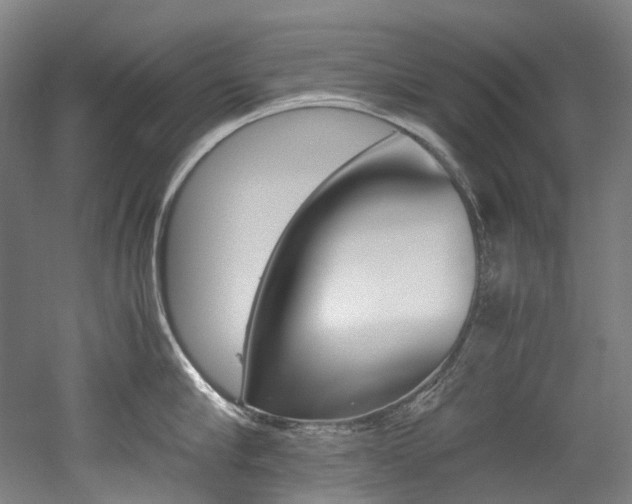 X0000052630910200507011030