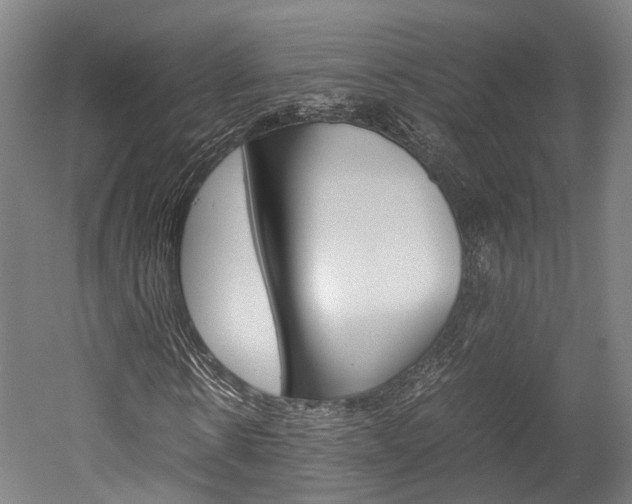 X0000052630914200507011029