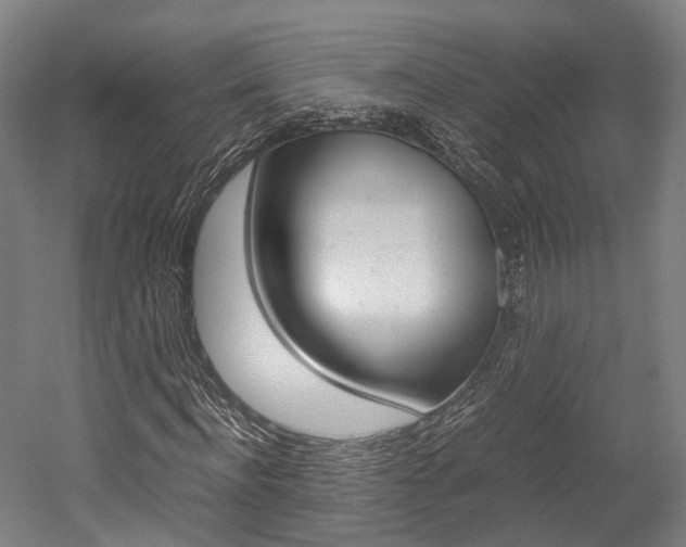 X0000052630916200507011029