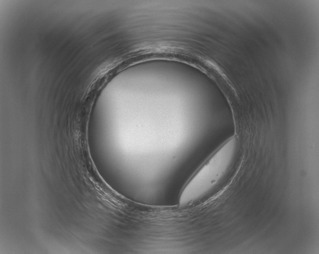 X0000052630922200507011029