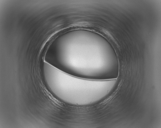 X0000052630923200507011030