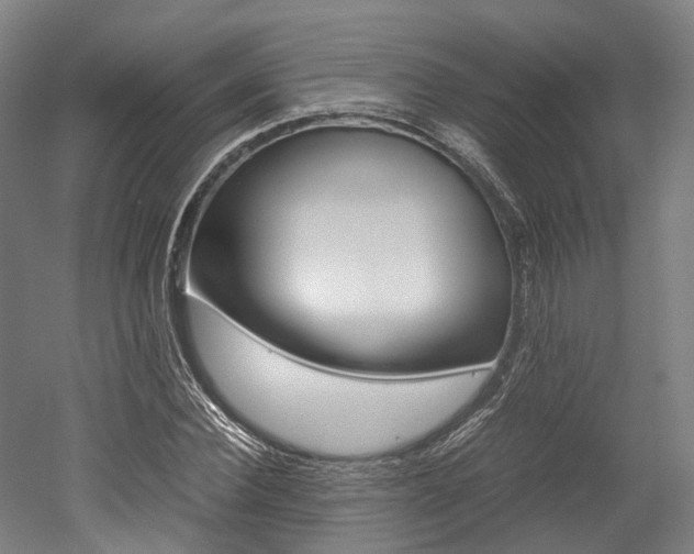 X0000052630924200507011030