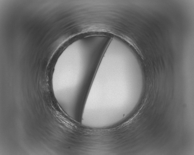 X0000052630926200507011030